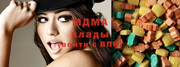 индика Гусь-Хрустальный