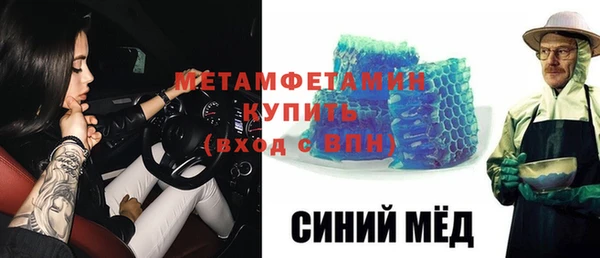 индика Гусь-Хрустальный