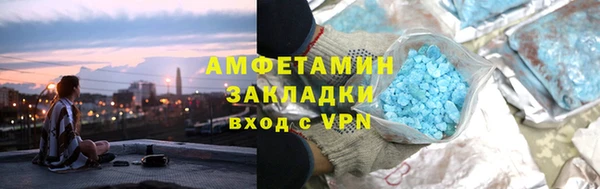 индика Гусь-Хрустальный