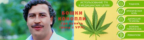 индика Гусь-Хрустальный
