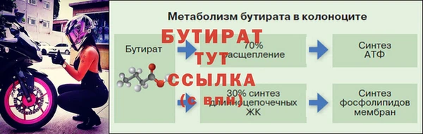 индика Гусь-Хрустальный