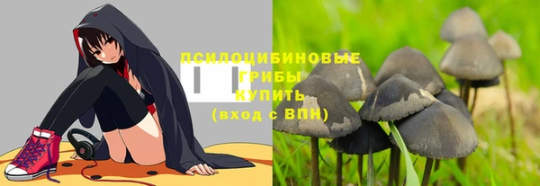 индика Гусь-Хрустальный