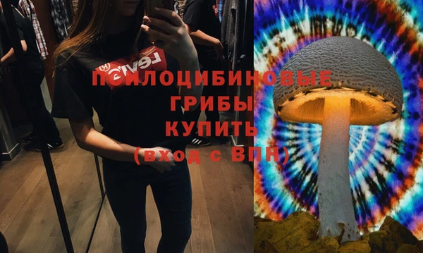 твердый Чекалин