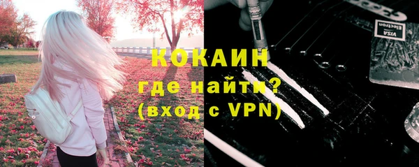 индика Гусь-Хрустальный