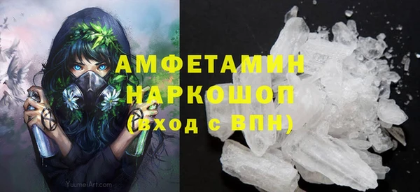 индика Гусь-Хрустальный