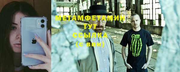 индика Гусь-Хрустальный