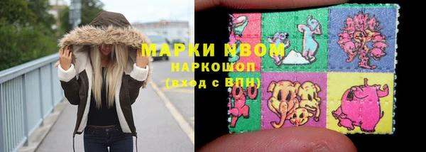 индика Гусь-Хрустальный