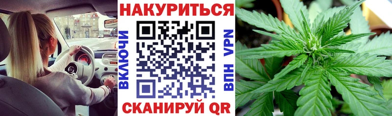 Бошки марихуана планчик  Купить  Приволжск 